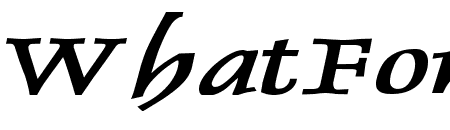 Dolphin Extended Bold Italic