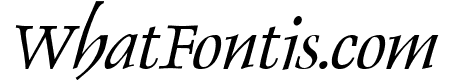 Dolphin Italic