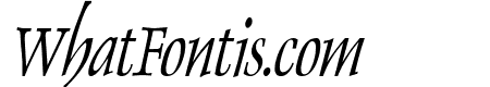 Dolphin Thin Italic