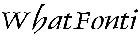 Dolphin Wide Italic
