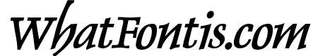 Dolphin Bold Italic