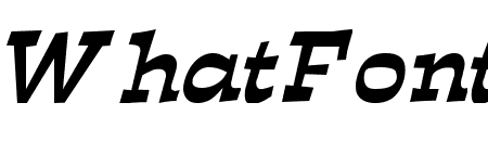 Expose Italic