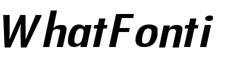 Fuji Extended Italic