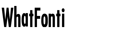 Fuji Thin Bold