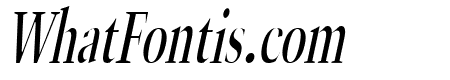 Horn Thin Italic