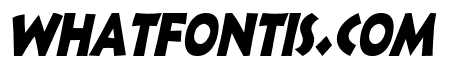 Indy Thin Italic