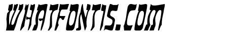Kosher Thin Italic