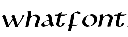 Leo Wide Italic