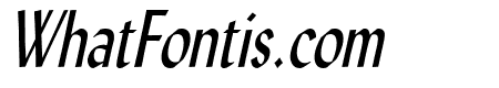 Lynda Thin Italic