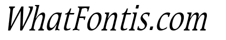 Mirror Thin Italic