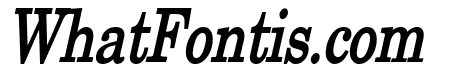 New Boston Thin Bold Italic