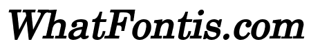 New Boston Bold Italic
