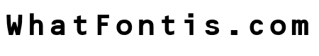Optical B Bold