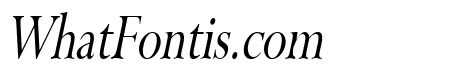 Rapid Thin Italic