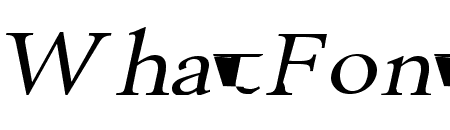 Revive 8 Wide Italic