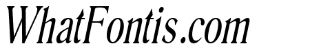 Roomy Thin Italic