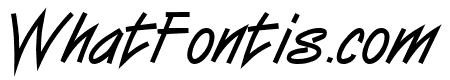 Surfer Bold