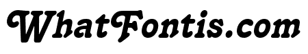 Terra Italic
