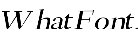 Transit Wide Italic