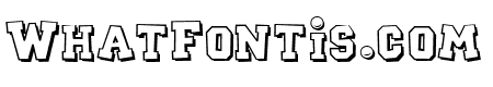 CK Sports Plain