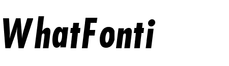 Function-Cd-BoldItalic
