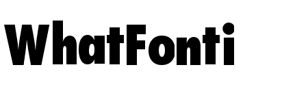 Function-Cd-Xbold-Regular