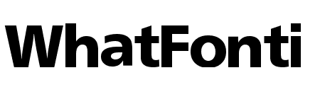 FrontPage-Bold-Regular