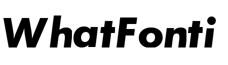Function-Bold-Italic