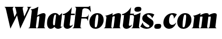 DenverSerial-Black-Italic