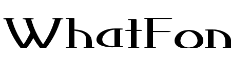 Tunic-ExtraexpandedRegular