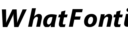 Segoe UI Bold Italic