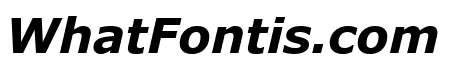 Verdana Bold Italic