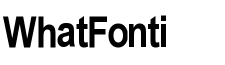 Arial Narrow Bold