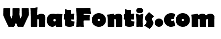 Berlin Sans FB Bold