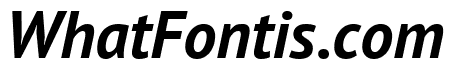PT Sans Bold Italic