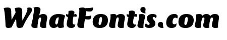 CTMercuriusStd-BlackItalic