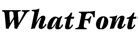 EspritStd-BlackItalic