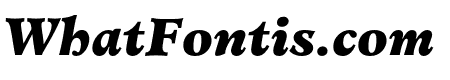 MinisterStd-BlackItalic
