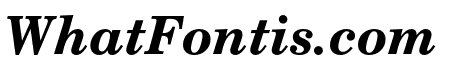 NewCenturySchlbkLTStd-BdIt