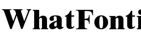 TimesLTStd-ExtraBold