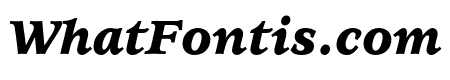 UsherwoodStd-BlackItalic