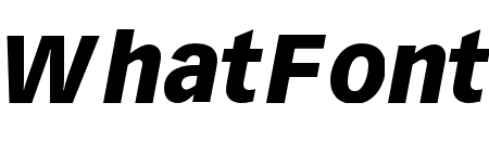 VectoraLTStd-BlackItalic