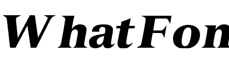 VersaillesLTStd-BlackItalic
