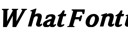 WeidemannStd-BlackItalic