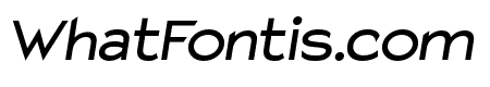 Charger Pro Bold Extended Oblique