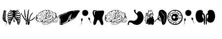 Human Anatomy