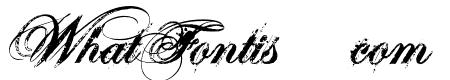 SWEETCORRECTION ROTH