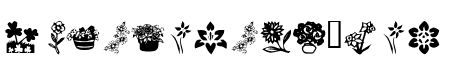 KR Kat\\\'s Flowers 4