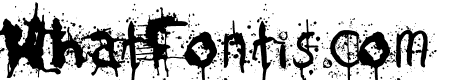 Tumult Regular
