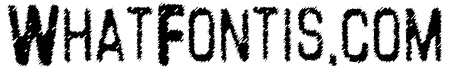 Lead Coat